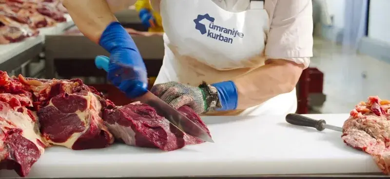 Usta Kasaplık Hizmeti